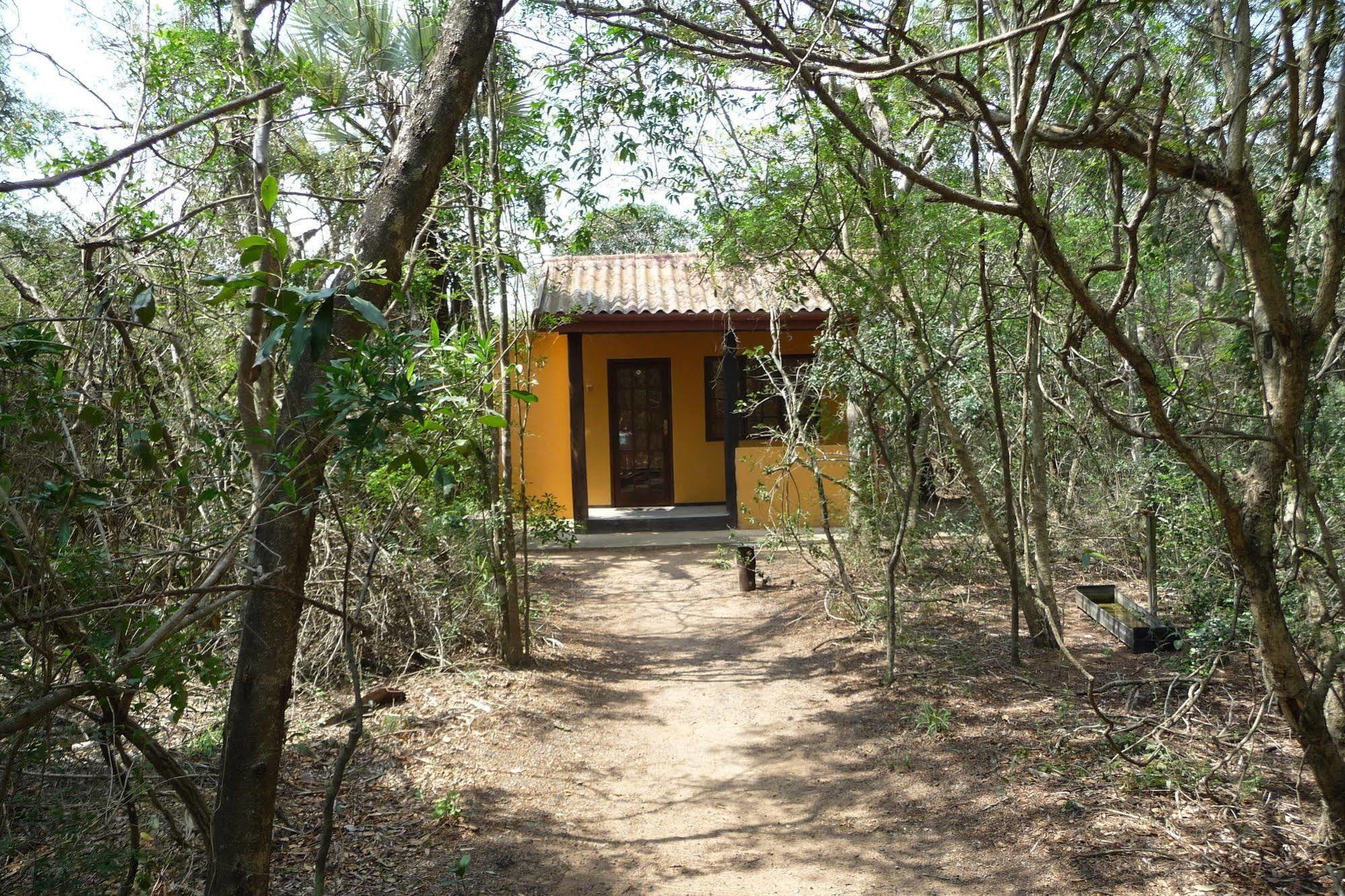 Isinkwe Backpackers Bushcamp Hotel Hluhluwe Buitenkant foto