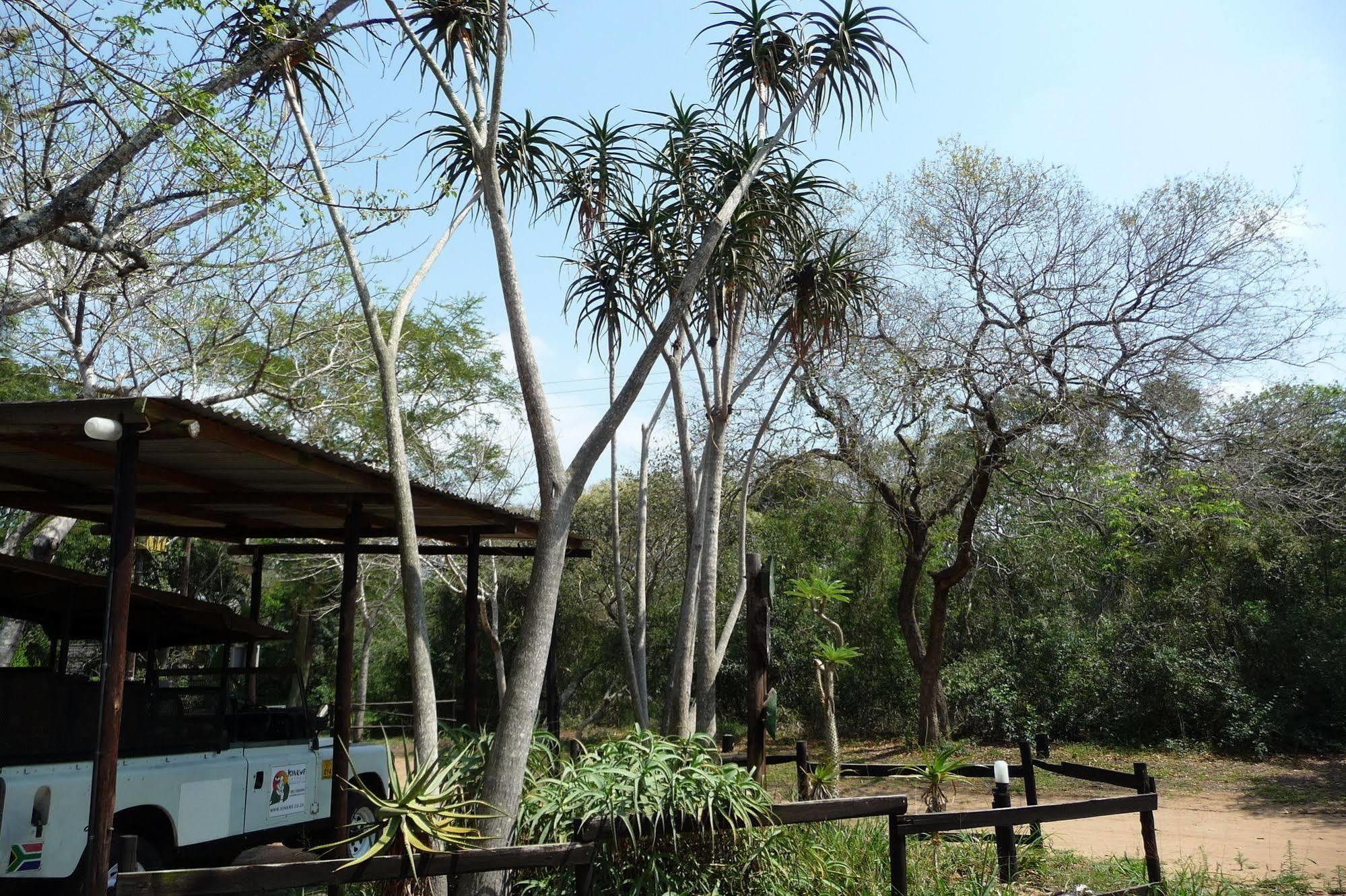 Isinkwe Backpackers Bushcamp Hotel Hluhluwe Buitenkant foto